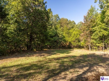 Church Street, Horse Cave, Kentucky 42749, ,For Sale,Church Street,HK24003588 Church Street, Horse Cave, Kentucky 42749, ,For Sale,Church Street,HK24003588