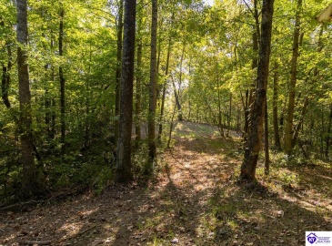 Church Street, Horse Cave, Kentucky 42749, ,For Sale,Church Street,HK24003588 Church Street, Horse Cave, Kentucky 42749, ,For Sale,Church Street,HK24003588