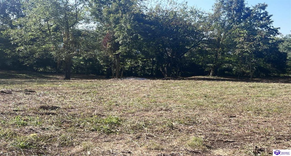 Church Street, Horse Cave, Kentucky 42749, ,For Sale,Church Street,HK24003588