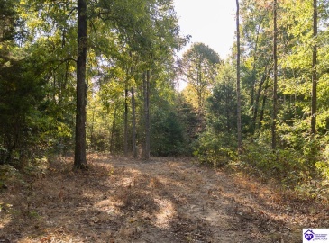 Church Street, Horse Cave, Kentucky 42749, ,For Sale,Church Street,HK24003588 Church Street, Horse Cave, Kentucky 42749, ,For Sale,Church Street,HK24003588