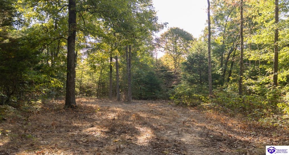 Church Street, Horse Cave, Kentucky 42749, ,For Sale,Church Street,HK24003588