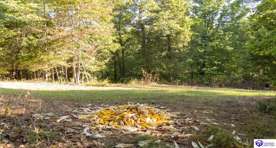 Church Street, Horse Cave, Kentucky 42749, ,For Sale,Church Street,HK24003588