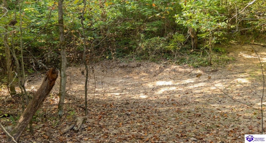 Church Street, Horse Cave, Kentucky 42749, ,For Sale,Church Street,HK24003588