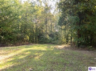 Church Street, Horse Cave, Kentucky 42749, ,For Sale,Church Street,HK24003588 Church Street, Horse Cave, Kentucky 42749, ,For Sale,Church Street,HK24003588