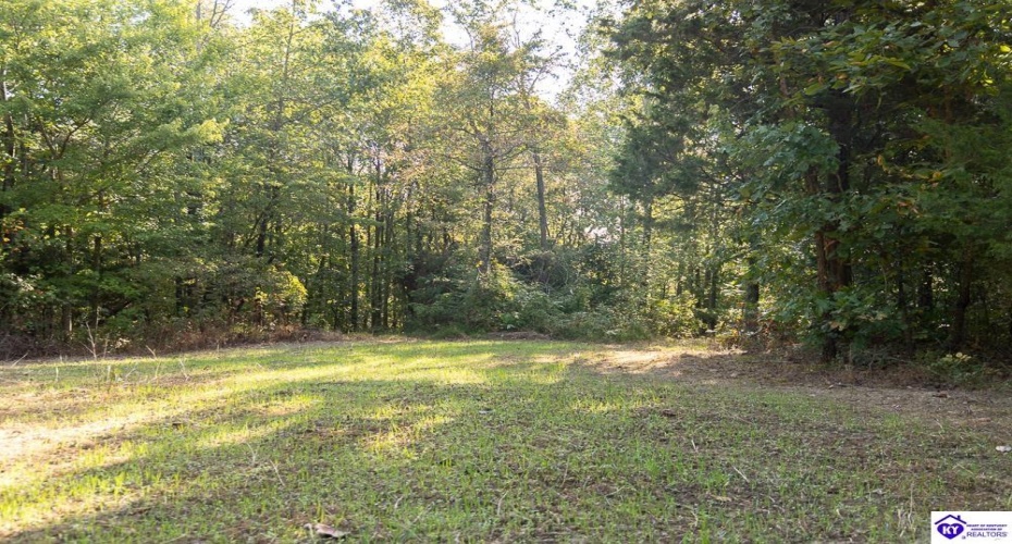 Church Street, Horse Cave, Kentucky 42749, ,For Sale,Church Street,HK24003588