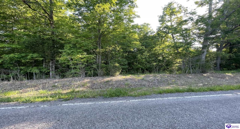 Rineyville Big Springs Road, Rineyville, Kentucky 40162, ,For Sale,Rineyville Big Springs Road,HK24003610 Rineyville Big Springs Road, Rineyville, Kentucky 40162, ,For Sale,Rineyville Big Springs Road,HK24003610