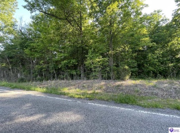 Rineyville Big Springs Road, Rineyville, Kentucky 40162, ,For Sale,Rineyville Big Springs Road,HK24003610 Rineyville Big Springs Road, Rineyville, Kentucky 40162, ,For Sale,Rineyville Big Springs Road,HK24003610