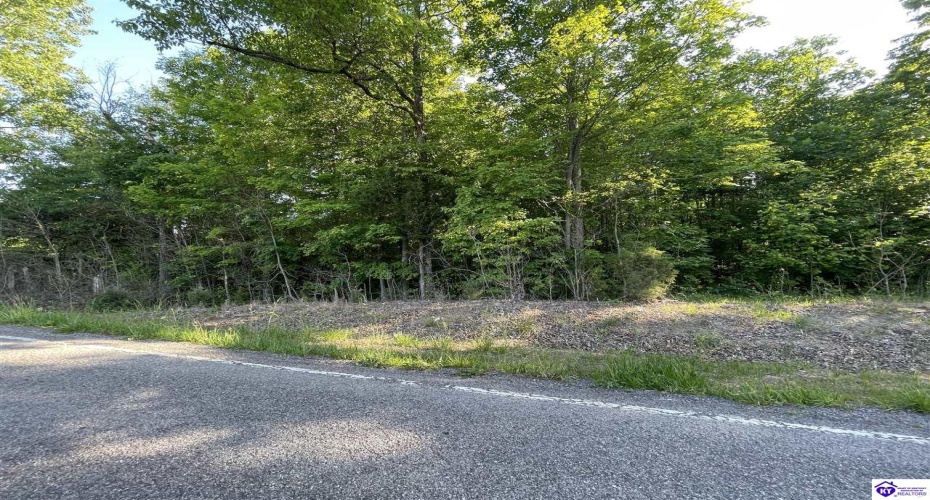 Rineyville Big Springs Road, Rineyville, Kentucky 40162, ,For Sale,Rineyville Big Springs Road,HK24003610 Rineyville Big Springs Road, Rineyville, Kentucky 40162, ,For Sale,Rineyville Big Springs Road,HK24003610