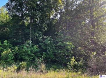 Rineyville Big Springs Road, Rineyville, Kentucky 40162, ,For Sale,Rineyville Big Springs Road,HK24003610