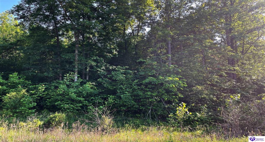 Rineyville Big Springs Road, Rineyville, Kentucky 40162, ,For Sale,Rineyville Big Springs Road,HK24003610