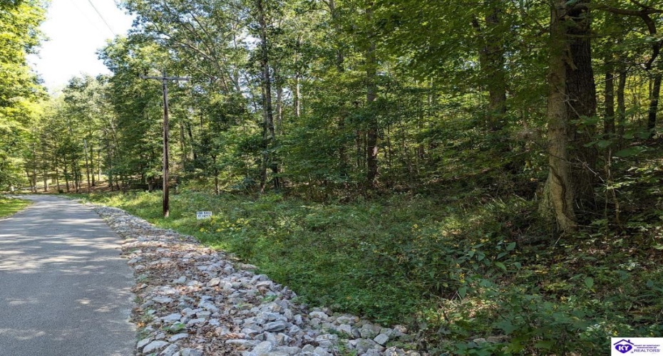 Holley Cave Drive, Mammoth Cave, Kentucky 42259, ,For Sale,Holley Cave Drive,HK24003611 Holley Cave Drive, Mammoth Cave, Kentucky 42259, ,For Sale,Holley Cave Drive,HK24003611