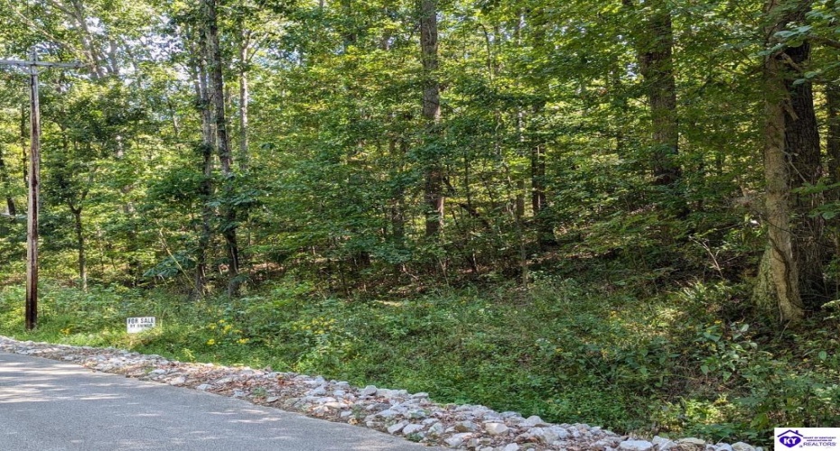 Holley Cave Drive, Mammoth Cave, Kentucky 42259, ,For Sale,Holley Cave Drive,HK24003611 Holley Cave Drive, Mammoth Cave, Kentucky 42259, ,For Sale,Holley Cave Drive,HK24003611