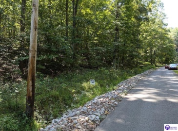 Holley Cave Drive, Mammoth Cave, Kentucky 42259, ,For Sale,Holley Cave Drive,HK24003611 Holley Cave Drive, Mammoth Cave, Kentucky 42259, ,For Sale,Holley Cave Drive,HK24003611