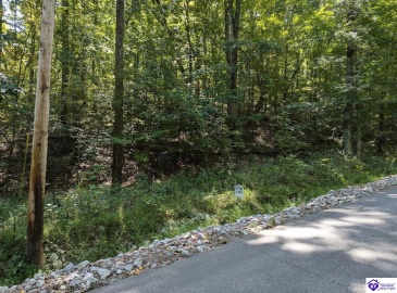 Holley Cave Drive, Mammoth Cave, Kentucky 42259, ,For Sale,Holley Cave Drive,HK24003611 Holley Cave Drive, Mammoth Cave, Kentucky 42259, ,For Sale,Holley Cave Drive,HK24003611