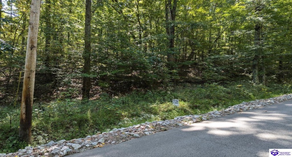 Holley Cave Drive, Mammoth Cave, Kentucky 42259, ,For Sale,Holley Cave Drive,HK24003611 Holley Cave Drive, Mammoth Cave, Kentucky 42259, ,For Sale,Holley Cave Drive,HK24003611