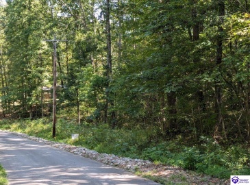 Holley Cave Drive, Mammoth Cave, Kentucky 42259, ,For Sale,Holley Cave Drive,HK24003611 Holley Cave Drive, Mammoth Cave, Kentucky 42259, ,For Sale,Holley Cave Drive,HK24003611