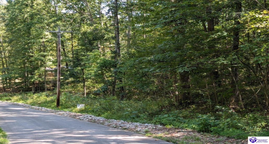 Holley Cave Drive, Mammoth Cave, Kentucky 42259, ,For Sale,Holley Cave Drive,HK24003611 Holley Cave Drive, Mammoth Cave, Kentucky 42259, ,For Sale,Holley Cave Drive,HK24003611