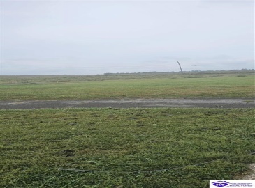 White Rose Road, Campbellsville, Kentucky 42718, ,1 BathroomBathrooms,For Sale,White Rose Road,HK24003619