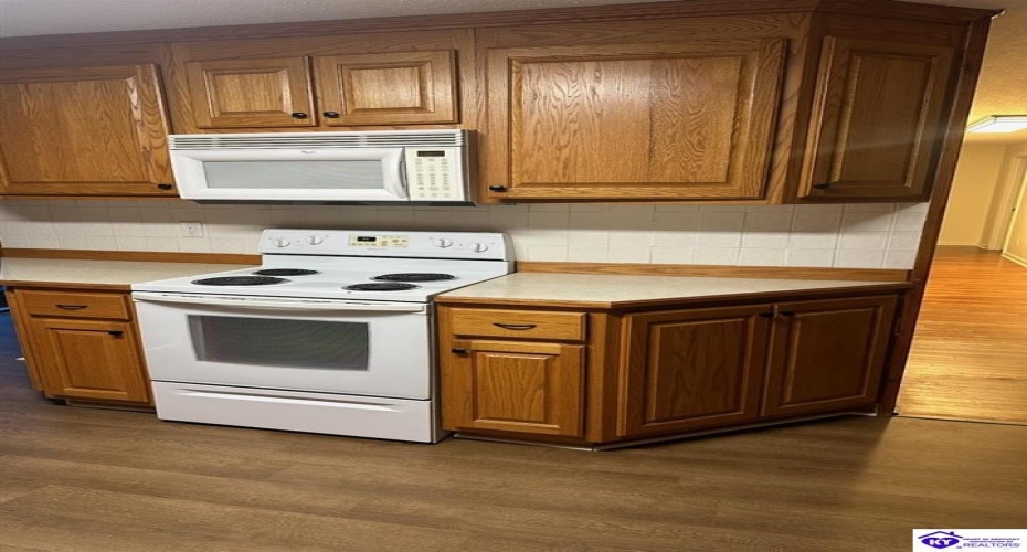 White Rose Road, Campbellsville, Kentucky 42718, ,1 BathroomBathrooms,For Sale,White Rose Road,HK24003619