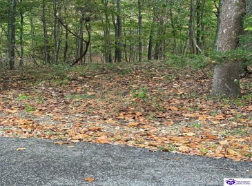 Penny Royal Lane, Brandenburg, Kentucky 40108, ,For Sale,Penny Royal Lane,HK24003621 Penny Royal Lane, Brandenburg, Kentucky 40108, ,For Sale,Penny Royal Lane,HK24003621