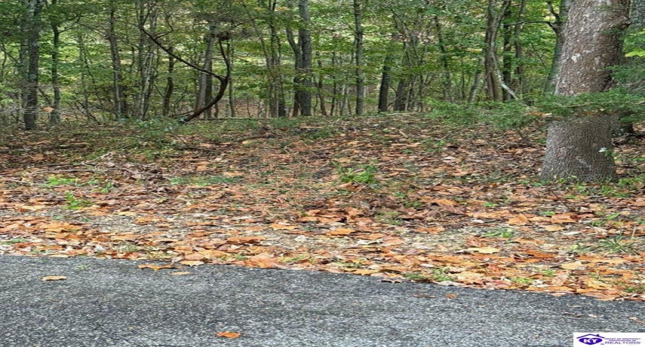 Penny Royal Lane, Brandenburg, Kentucky 40108, ,For Sale,Penny Royal Lane,HK24003621 Penny Royal Lane, Brandenburg, Kentucky 40108, ,For Sale,Penny Royal Lane,HK24003621