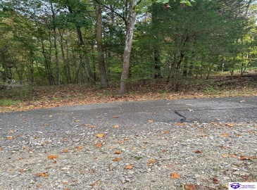 Penny Royal Lane, Brandenburg, Kentucky 40108, ,For Sale,Penny Royal Lane,HK24003621 Penny Royal Lane, Brandenburg, Kentucky 40108, ,For Sale,Penny Royal Lane,HK24003621