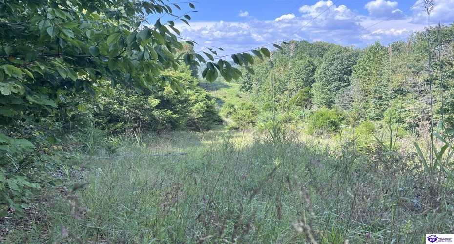 Howard Scott, Munfordville, Kentucky 42765-0000, ,For Sale,Howard Scott,HK24003625