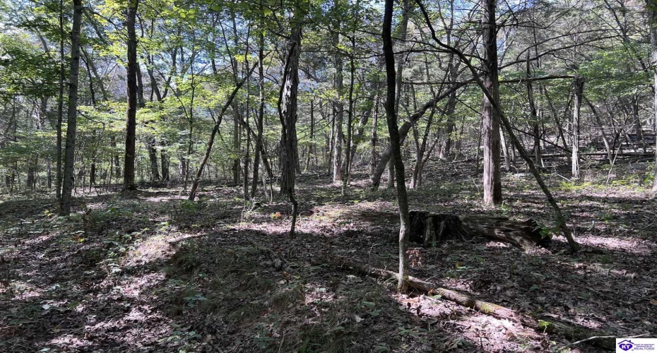 Howard Scott, Munfordville, Kentucky 42765-0000, ,For Sale,Howard Scott,HK24003625 Howard Scott, Munfordville, Kentucky 42765-0000, ,For Sale,Howard Scott,HK24003625