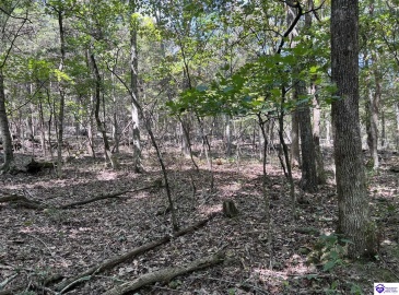 Howard Scott, Munfordville, Kentucky 42765-0000, ,For Sale,Howard Scott,HK24003625 Howard Scott, Munfordville, Kentucky 42765-0000, ,For Sale,Howard Scott,HK24003625