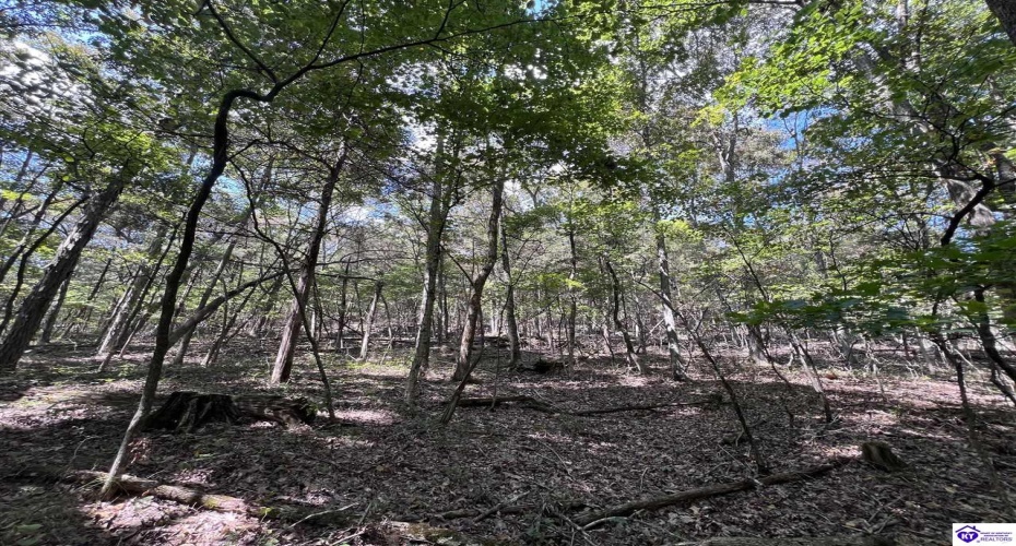 Howard Scott, Munfordville, Kentucky 42765-0000, ,For Sale,Howard Scott,HK24003625 Howard Scott, Munfordville, Kentucky 42765-0000, ,For Sale,Howard Scott,HK24003625