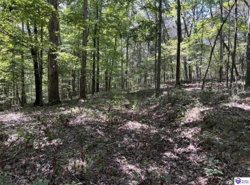 Howard Scott, Munfordville, Kentucky 42765-0000, ,For Sale,Howard Scott,HK24003625 Howard Scott, Munfordville, Kentucky 42765-0000, ,For Sale,Howard Scott,HK24003625