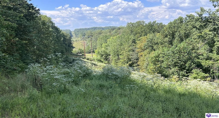 Howard Scott, Munfordville, Kentucky 42765-0000, ,For Sale,Howard Scott,HK24003625 Howard Scott, Munfordville, Kentucky 42765-0000, ,For Sale,Howard Scott,HK24003625