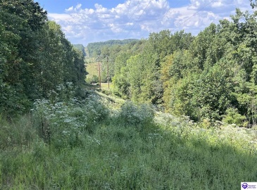 Howard Scott, Munfordville, Kentucky 42765-0000, ,For Sale,Howard Scott,HK24003625 Howard Scott, Munfordville, Kentucky 42765-0000, ,For Sale,Howard Scott,HK24003625