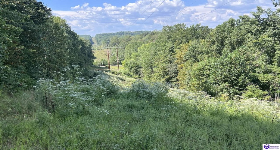 Howard Scott, Munfordville, Kentucky 42765-0000, ,For Sale,Howard Scott,HK24003625 Howard Scott, Munfordville, Kentucky 42765-0000, ,For Sale,Howard Scott,HK24003625