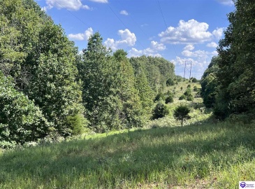 Howard Scott, Munfordville, Kentucky 42765-0000, ,For Sale,Howard Scott,HK24003625 Howard Scott, Munfordville, Kentucky 42765-0000, ,For Sale,Howard Scott,HK24003625