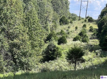 Howard Scott, Munfordville, Kentucky 42765-0000, ,For Sale,Howard Scott,HK24003625 Howard Scott, Munfordville, Kentucky 42765-0000, ,For Sale,Howard Scott,HK24003625