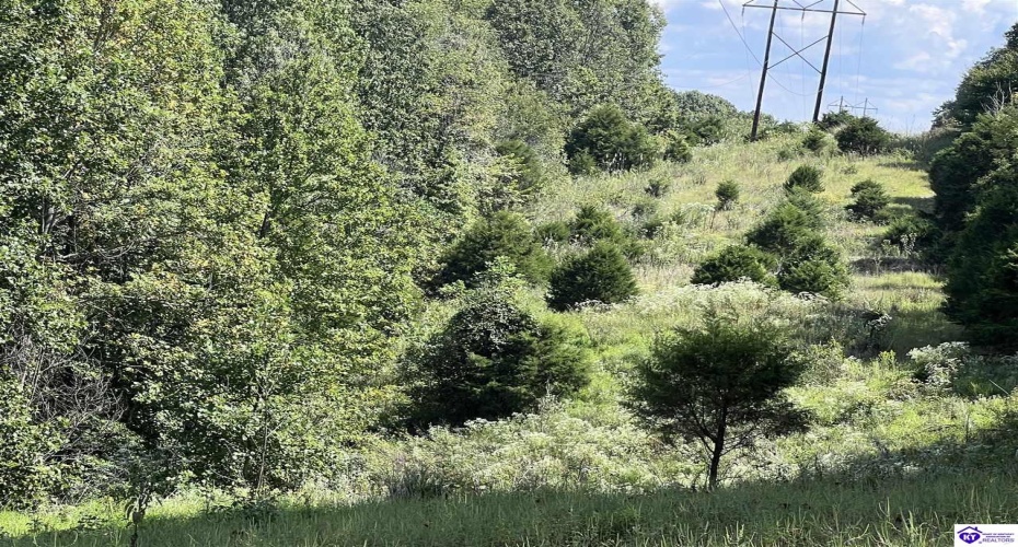 Howard Scott, Munfordville, Kentucky 42765-0000, ,For Sale,Howard Scott,HK24003625 Howard Scott, Munfordville, Kentucky 42765-0000, ,For Sale,Howard Scott,HK24003625