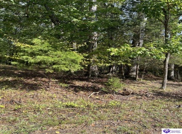 Pine View Court, Brandenburg, Kentucky 40108, ,For Sale,Pine View Court,HK24003638 Pine View Court, Brandenburg, Kentucky 40108, ,For Sale,Pine View Court,HK24003638