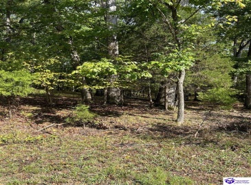 Pine View Court, Brandenburg, Kentucky 40108, ,For Sale,Pine View Court,HK24003638 Pine View Court, Brandenburg, Kentucky 40108, ,For Sale,Pine View Court,HK24003638