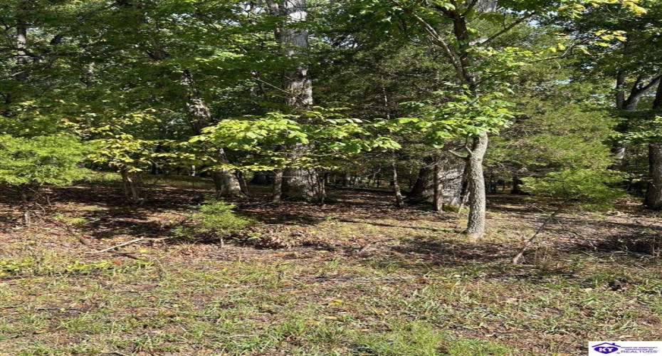 Pine View Court, Brandenburg, Kentucky 40108, ,For Sale,Pine View Court,HK24003638 Pine View Court, Brandenburg, Kentucky 40108, ,For Sale,Pine View Court,HK24003638