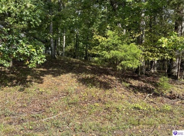 Pine View Court, Brandenburg, Kentucky 40108, ,For Sale,Pine View Court,HK24003638