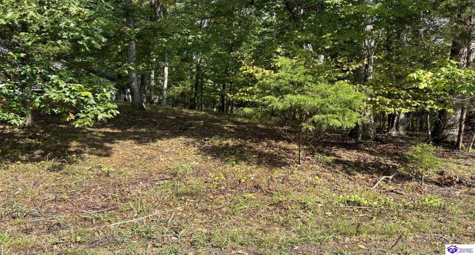 Pine View Court, Brandenburg, Kentucky 40108, ,For Sale,Pine View Court,HK24003638