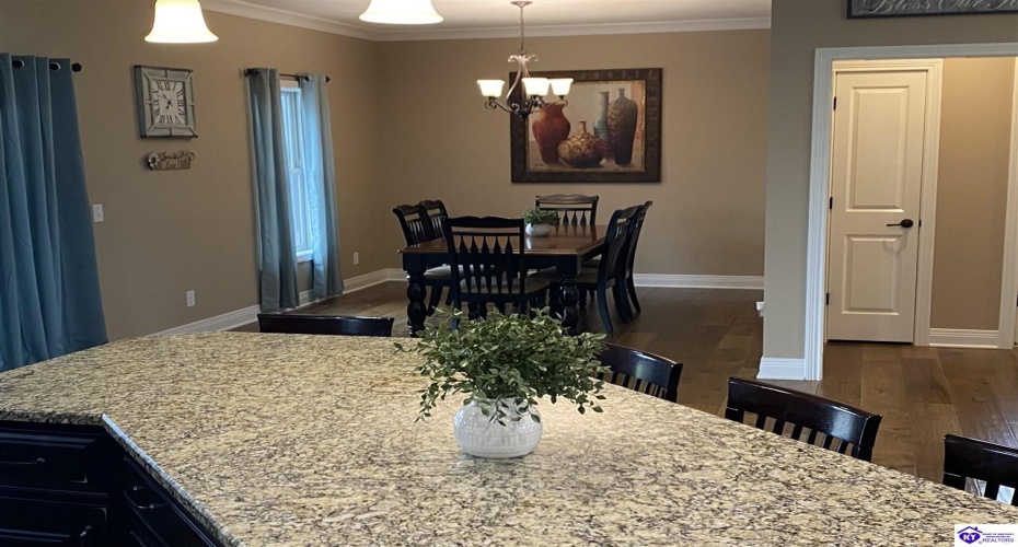 Rhudes Creek Road, Glendale, Kentucky 42740, ,3 BathroomsBathrooms,For Sale,Rhudes Creek Road,HK24003642