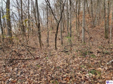 Youngers Creek Road, Elizabethtown, Kentucky 42701, ,1 BathroomBathrooms,For Sale,Youngers Creek Road,HK10063261