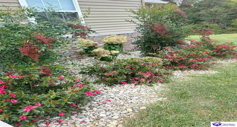 Feathersburg Road, Elkhorn, Kentucky 42733, ,3 BathroomsBathrooms,For Sale,Feathersburg Road,HK24003646 Feathersburg Road, Elkhorn, Kentucky 42733, ,3 BathroomsBathrooms,For Sale,Feathersburg Road,HK24003646