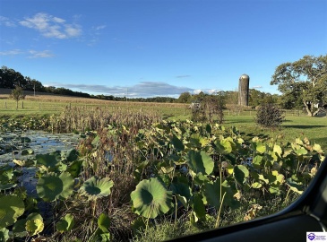 Harlan Brown Road, Columbia, Kentucky 42728, ,1 BathroomBathrooms,For Sale,Harlan Brown Road,HK24003647 Harlan Brown Road, Columbia, Kentucky 42728, ,1 BathroomBathrooms,For Sale,Harlan Brown Road,HK24003647