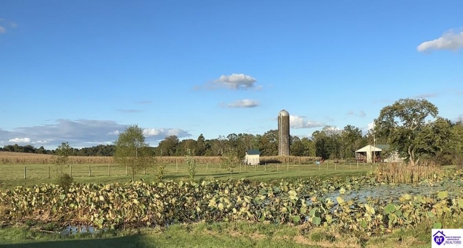 Harlan Brown Road, Columbia, Kentucky 42728, ,1 BathroomBathrooms,For Sale,Harlan Brown Road,HK24003647