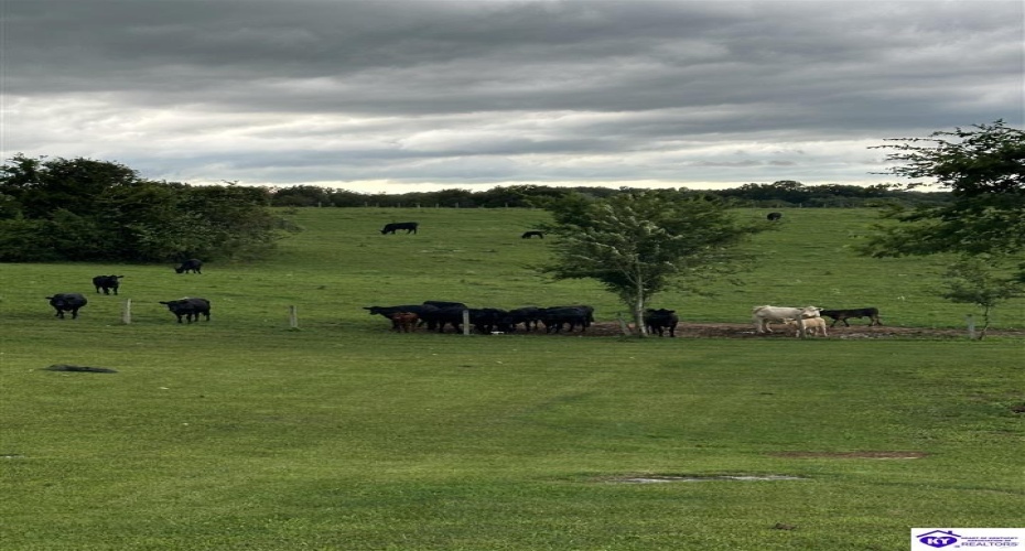 Sandstone Ridge Road, Bonnieville, Kentucky 42713, ,2 BathroomsBathrooms,For Sale,Sandstone Ridge Road,HK24003657 Sandstone Ridge Road, Bonnieville, Kentucky 42713, ,2 BathroomsBathrooms,For Sale,Sandstone Ridge Road,HK24003657