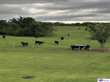 Sandstone Ridge Road, Bonnieville, Kentucky 42713, ,2 BathroomsBathrooms,For Sale,Sandstone Ridge Road,HK24003657