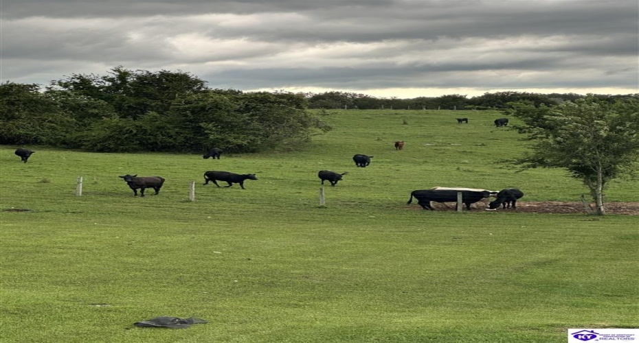 Sandstone Ridge Road, Bonnieville, Kentucky 42713, ,2 BathroomsBathrooms,For Sale,Sandstone Ridge Road,HK24003657